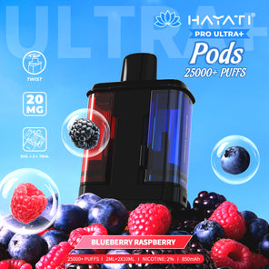  Blueberry Raspberry disposable vape
