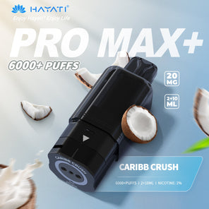 Hayati Pro Max Plus 6000+ Pods 